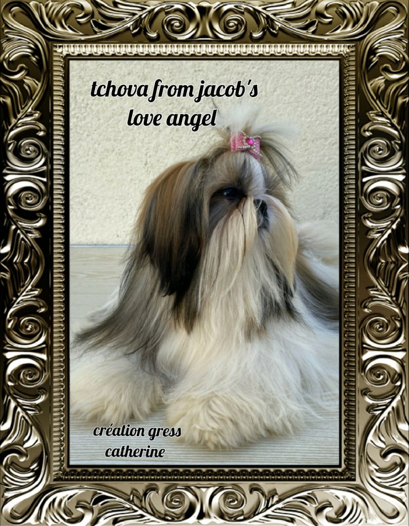 Tchova From Jacob's Love Angel