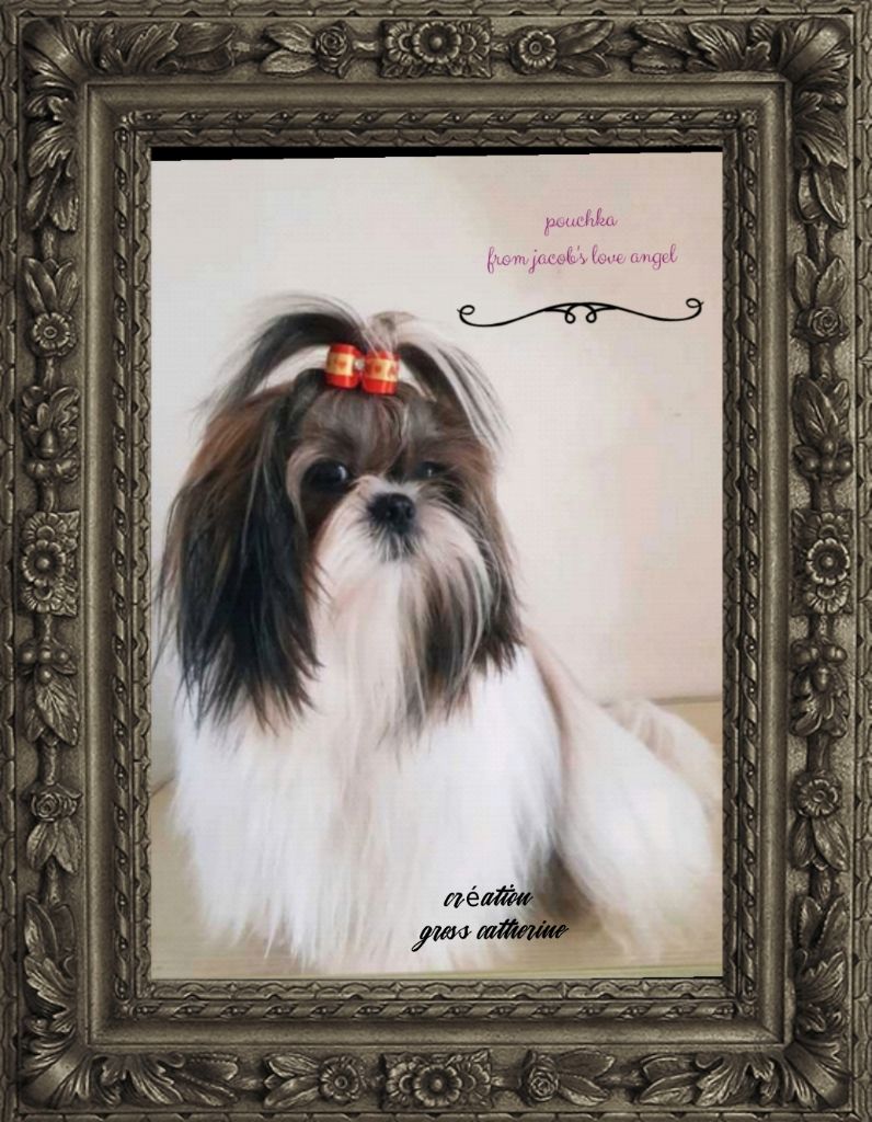 Pouchka From Jacob's Love Angel